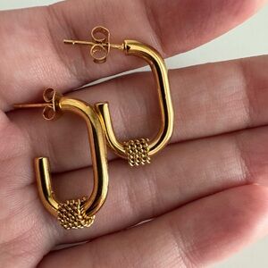 Elegant Gold Hoop Earrings
